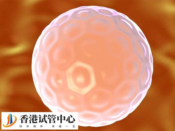 鮮胚移植著床率相對較低