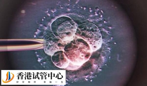 卵泡發育成熟但不破裂穿刺后多久能正常排卵？