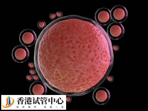 優勢卵泡沒破裂就縮小是因為卵巢早衰還是雌激素不足？