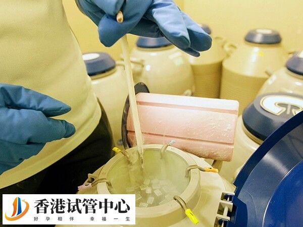 內陸地區對凍卵要求嚴格