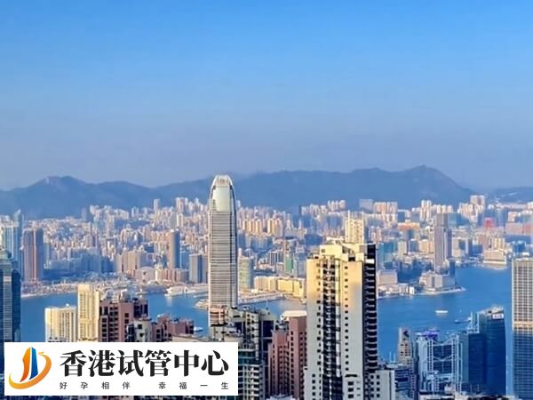 香港借精生子需要提供三證