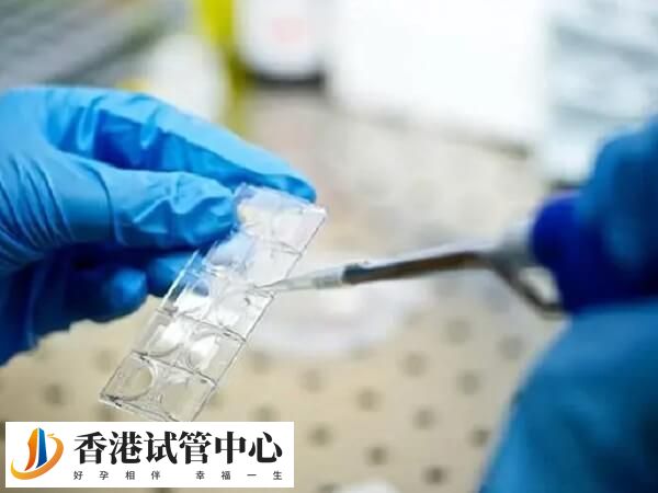 冷凍后的胚胎解凍后并不是所有解凍后的胚胎都能夠成功復活