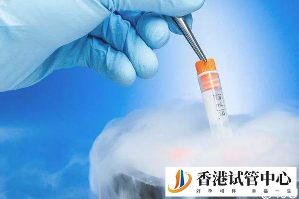 2024香港凍卵醫(yī)院多