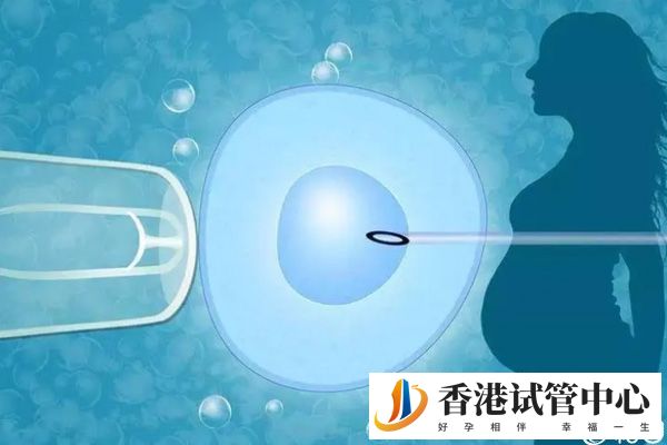 香港供卵試管成功率高