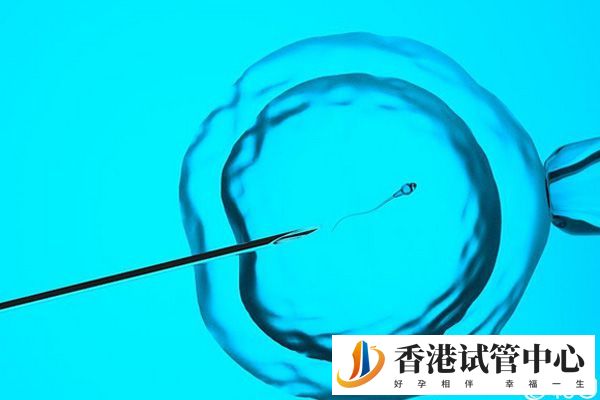 香港供卵試管流程較多