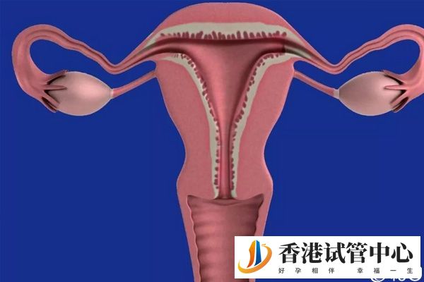 做供卵試管前要調理身體