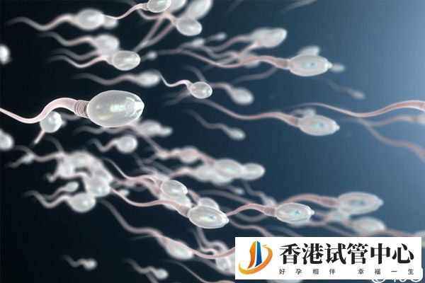 申請供卵對男性有要求