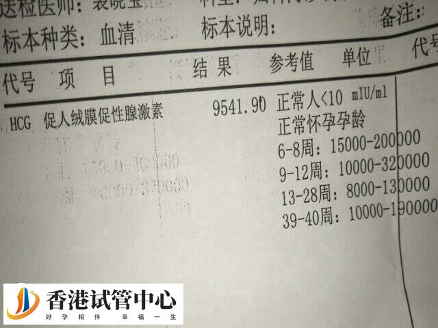 囊胚移植失敗要注意調節(jié)身體狀態(tài)