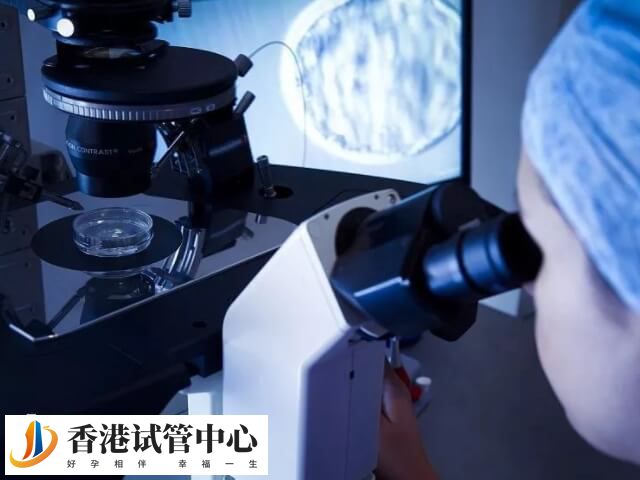 高齡做試管移植幾個胚胎好