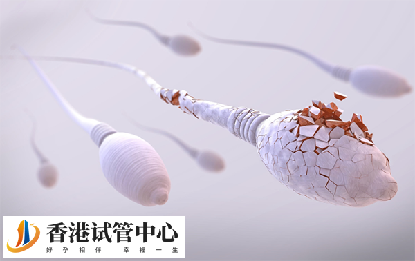 申請供精助孕懷的孩子不是自己的咋辦