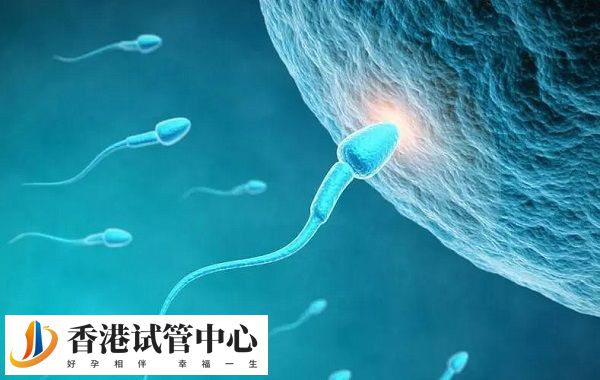 人工授精一般分為夫精和供精