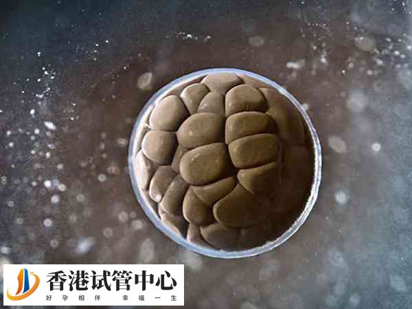 實施供精人授失敗后要咋辦