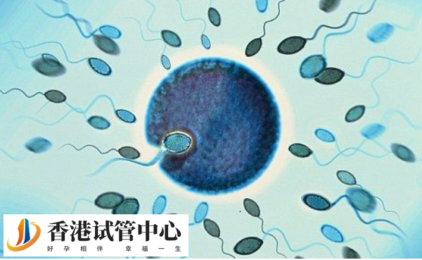 供精試管的成功率在55%左右