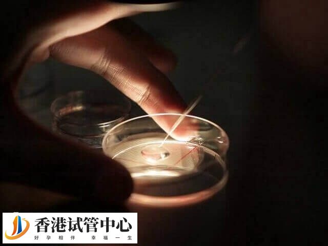 移植后停經可能是著床了