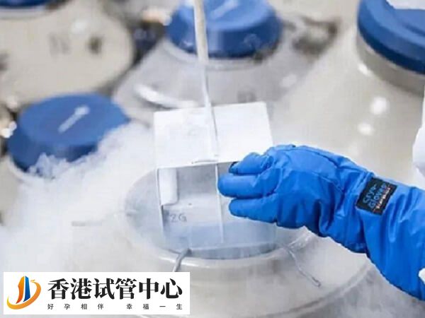 國內凍卵凍精費用大約多少