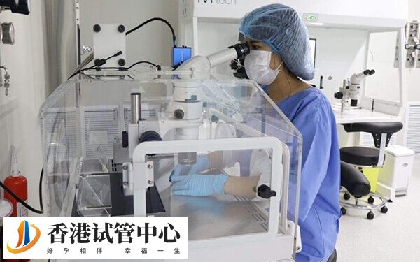 卵子質量差會影響受精