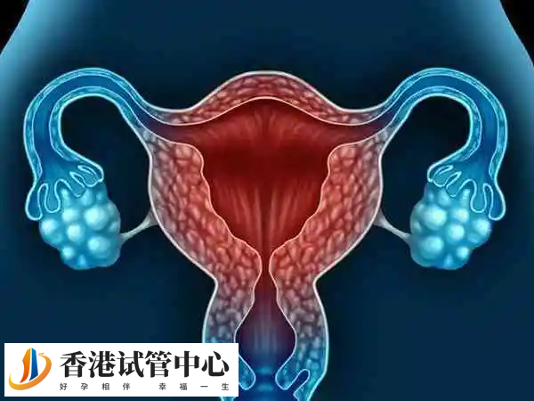 子宮內膜薄試管嬰兒成功率多少