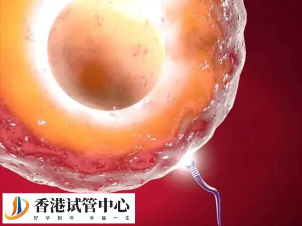 試管嬰兒精子和卵子不受精無法避免