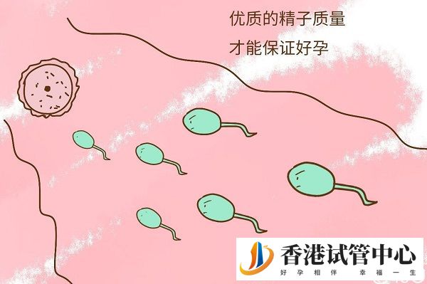 B級精子達這個正常標準“孕路”無阻