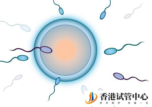 久備不孕需及時去醫院檢查