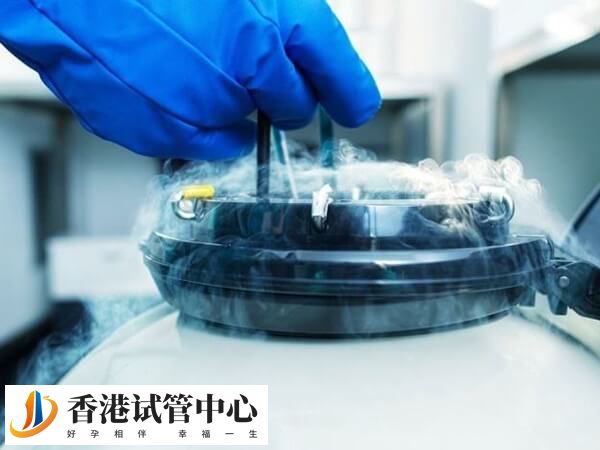 試管移植后剩余的胚胎怎么辦