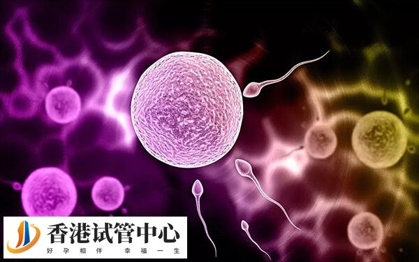 試管嬰兒怎么能一次就成功