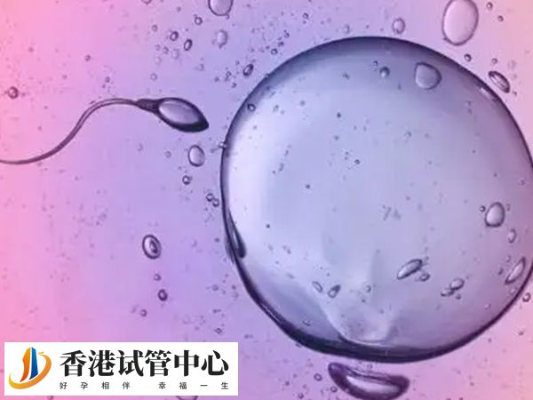 獲取5個受精卵可以發(fā)育成幾個胚胎