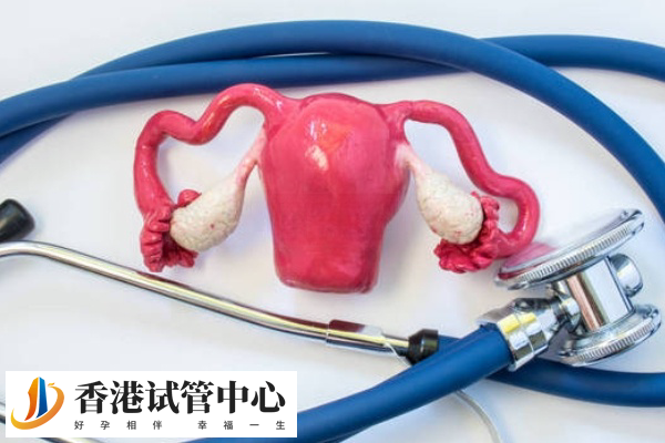 女性做試管獲取3個胚胎的成功率