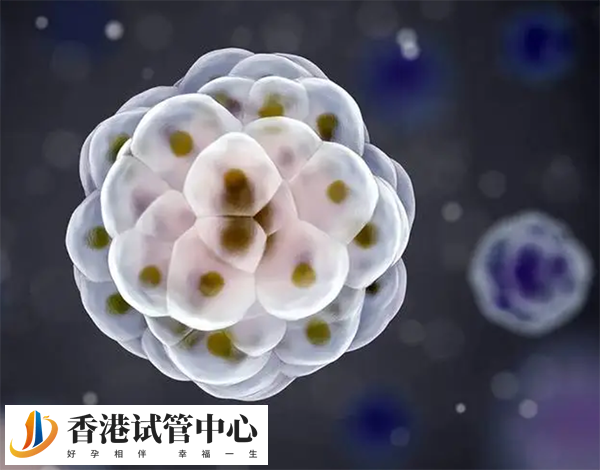 胚胎質量會影響3個胚胎移植成功率