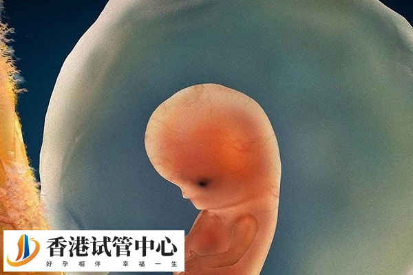 優質的胚胎更容易著床