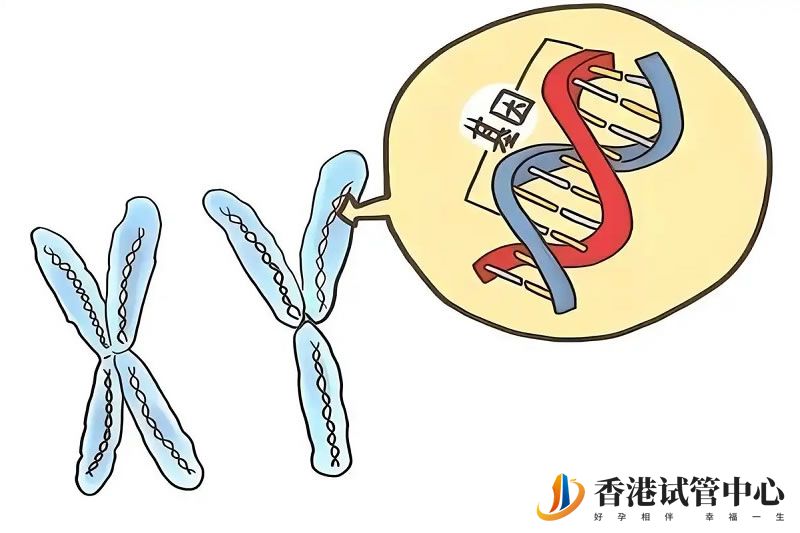 香港三代試管嬰兒套餐