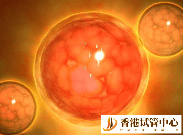 女性做試管跑卵是為啥