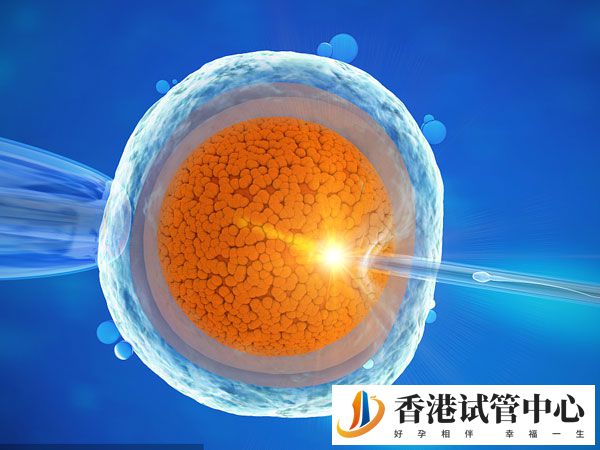 一個月做幾次試管比較好