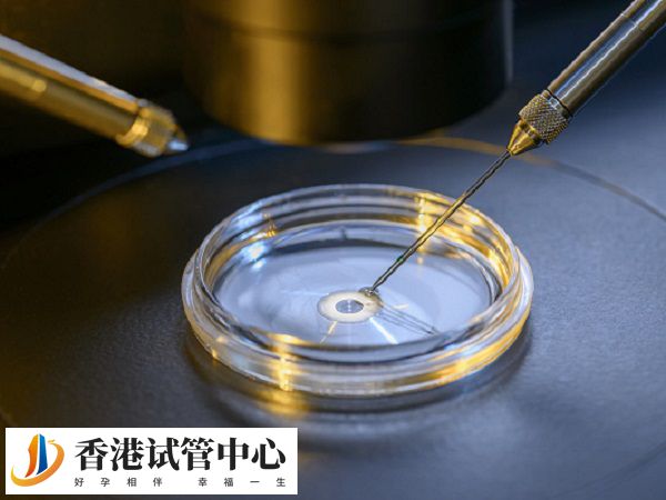 fsh高試管幾次做試管