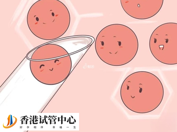 試管取卵后彈力襪要穿多久