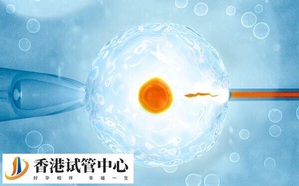 一胎試管二胎試管成功率高不高