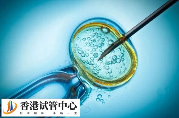 做試管嬰兒胚胎移植成功率高