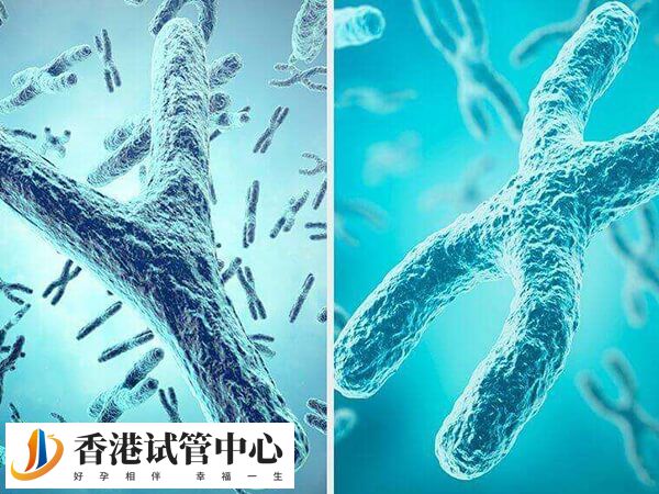 做二代試管移植失敗是否與心理有關