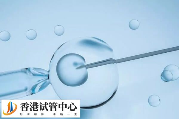 移植胚胎要考慮哪些因素