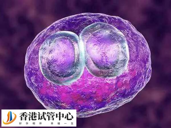 移植胚胎前要看年齡和身體狀態等多方面