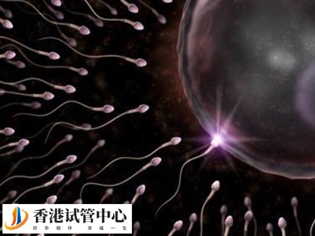 Y精子是攜帶男性染色體的精子