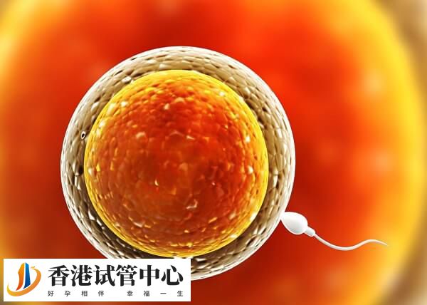 導致排卵障礙的原因有哪些