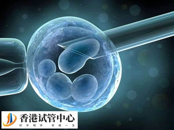 4ba囊胚移植成功率多高