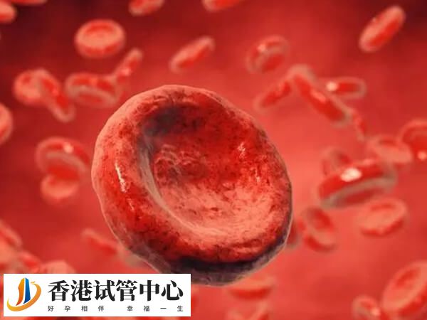 醛固酮增多癥會不會影響做試管