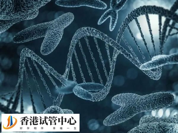 醛固酮增多癥對全身性影響較大