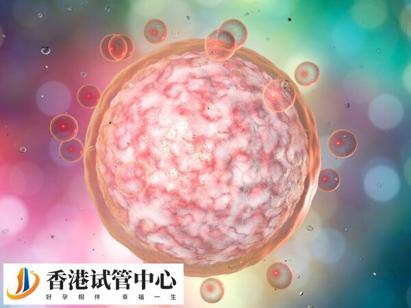 取卵只取了6個機會大不大