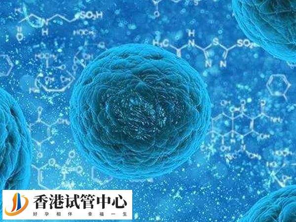35歲以下年輕女性的卵子質量通常較好