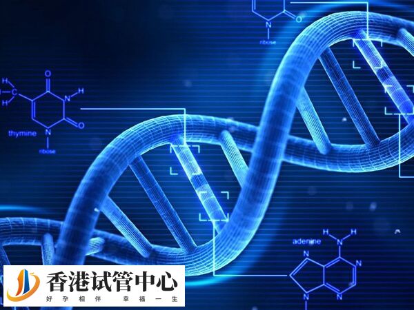 通過PGD/PGS技術對胚胎進行基因診斷