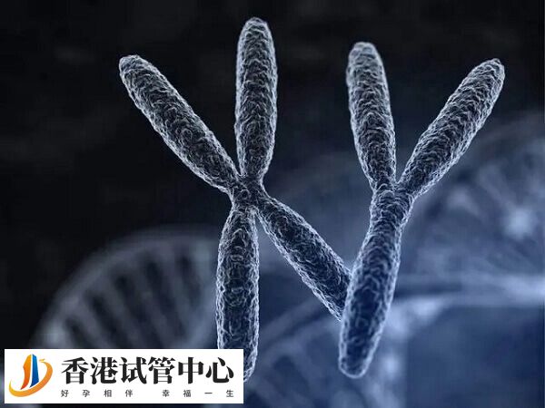 PGS可以準確檢測出胚胎性別