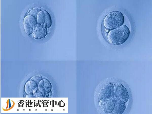 4CC囊胚移植成功率不高
